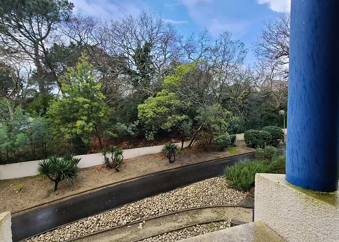 Near The 31 M With Balconypool Apartment *